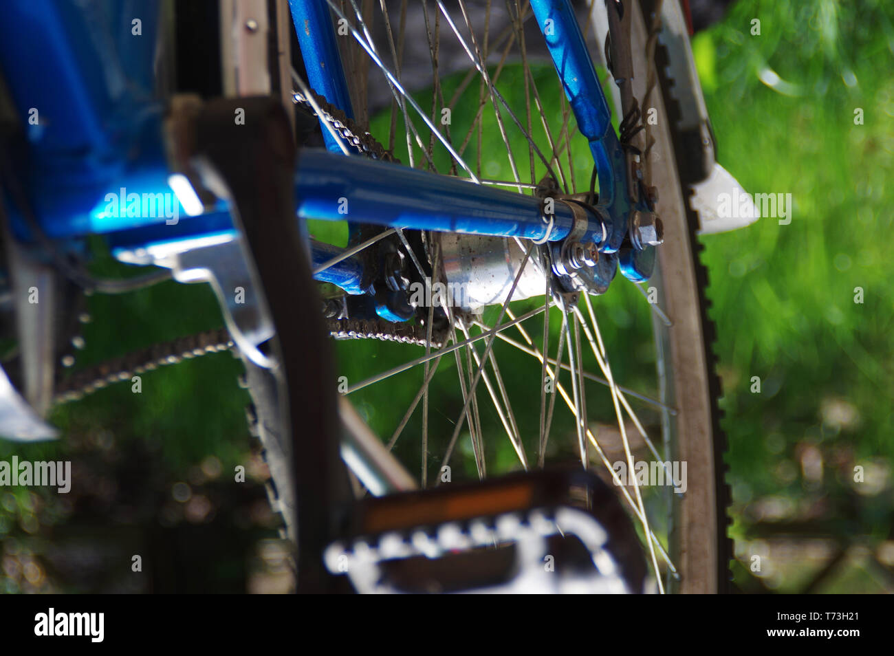 Bicycle maintenance. A part of a vehicle with a wheel and frame Stock