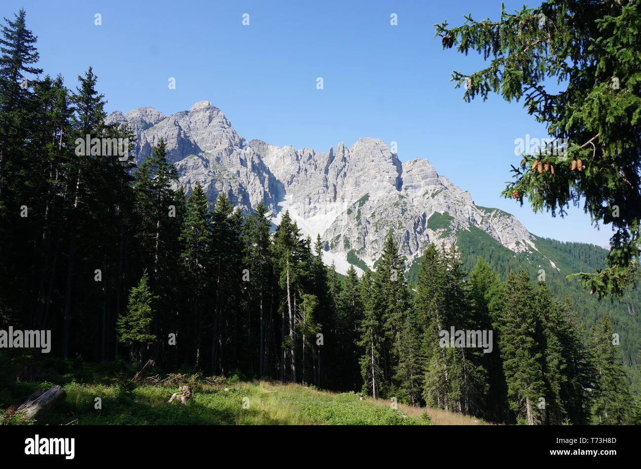A typical alpine view with rocky mountains, green meadows and deep forests. Austrian Alps. Stock Photo