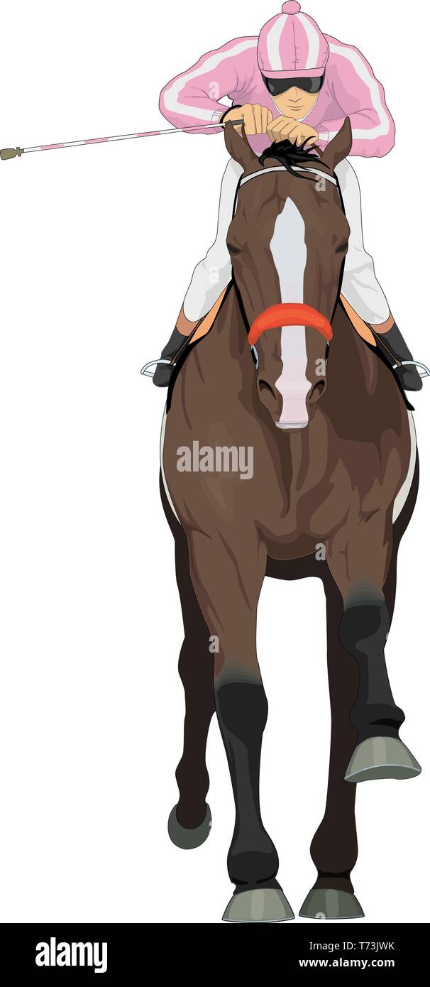 Race Horse Vector Illustration Stock Vector