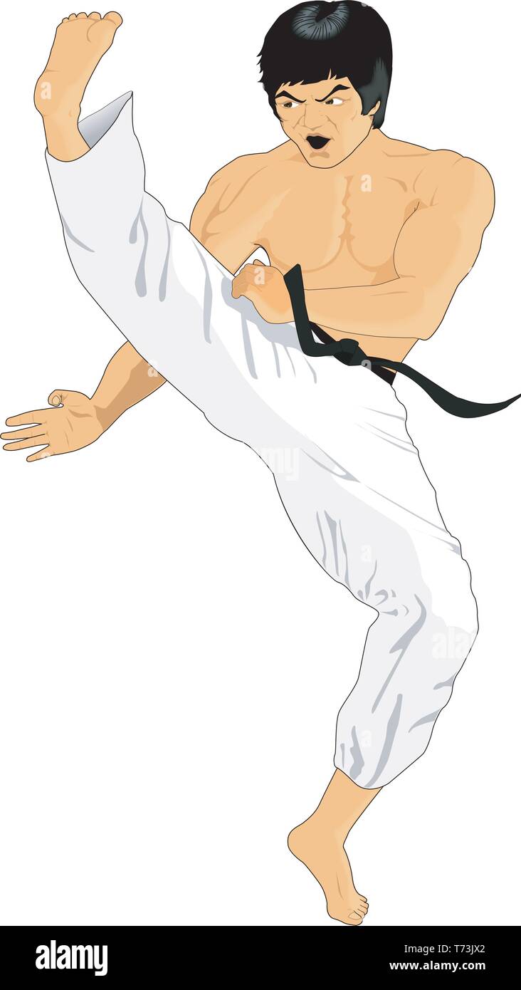 Kungfu Vector Illustration Stock Vector Image & Art - Alamy