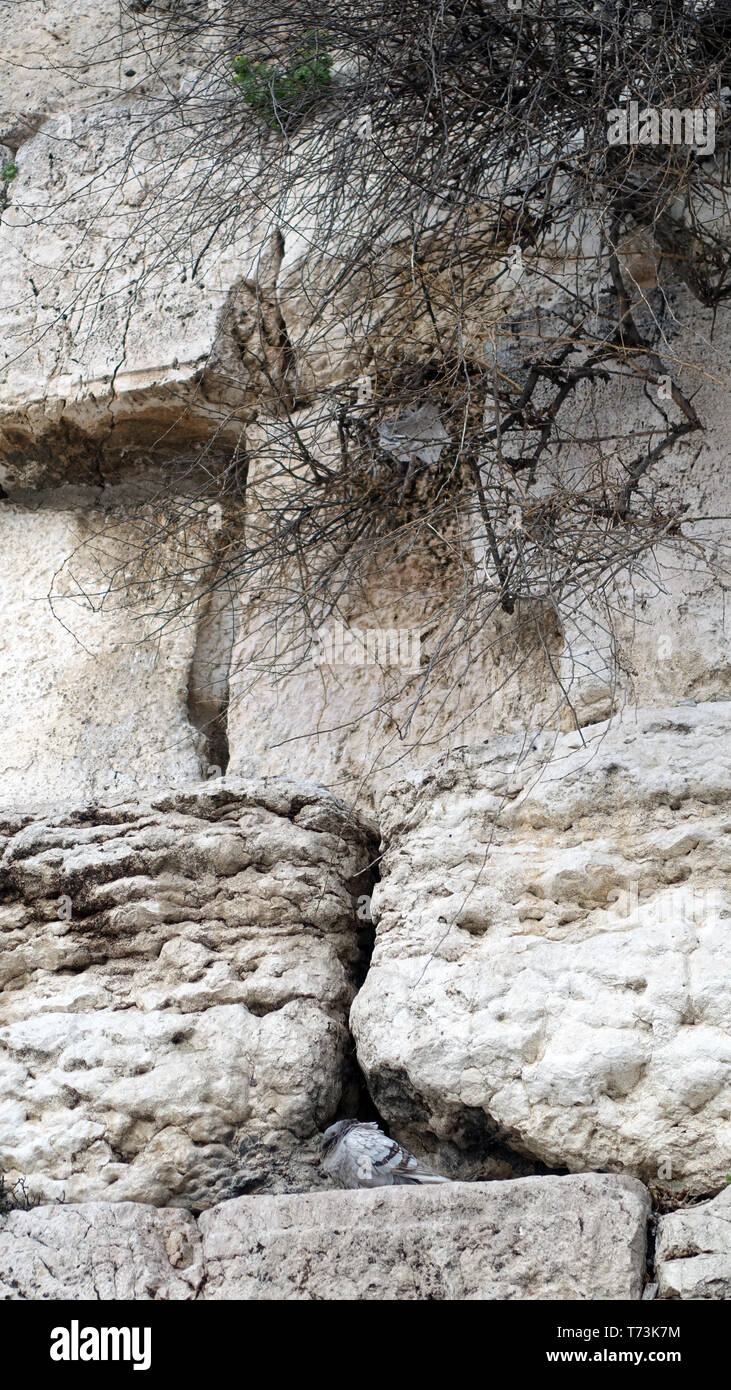 Women wailing wall hi-res stock photography and images - Alamy