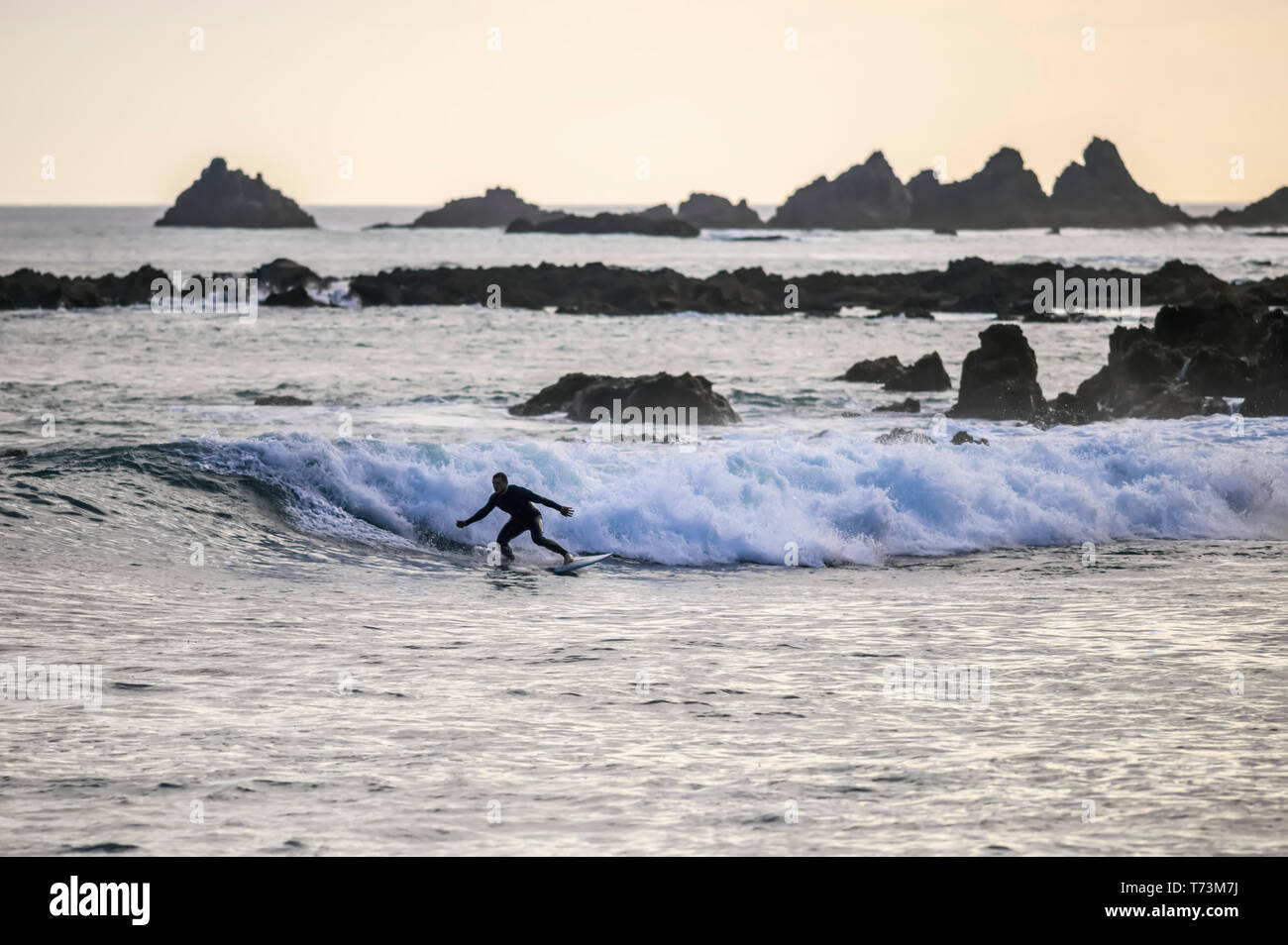 Houghton bay wellington new zealand hires stock photography and images