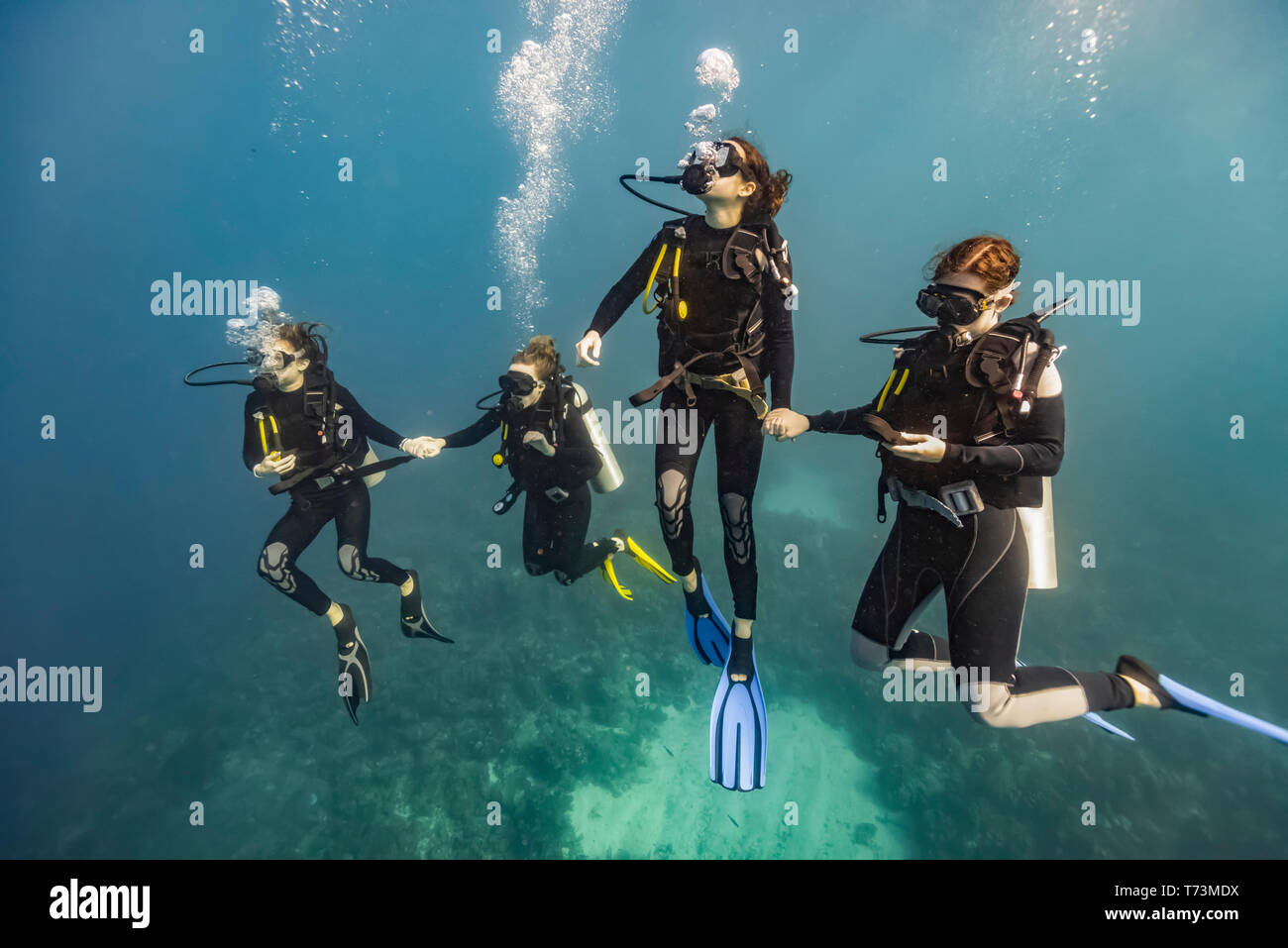 Scuba divers in Roatan Marine Park, West End Wall dive site; Roatan, Honduras Stock Photo