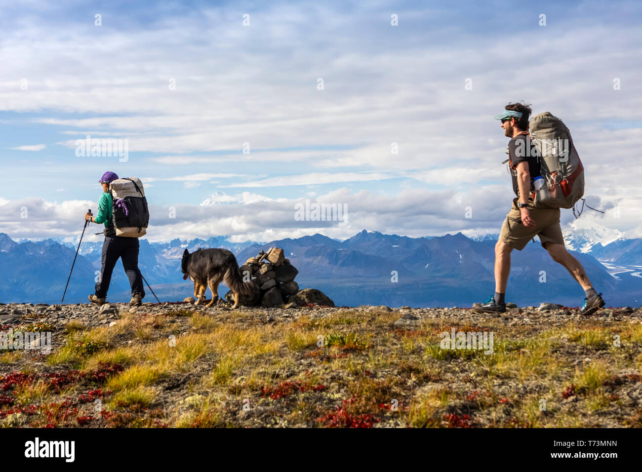 denali walking poles
