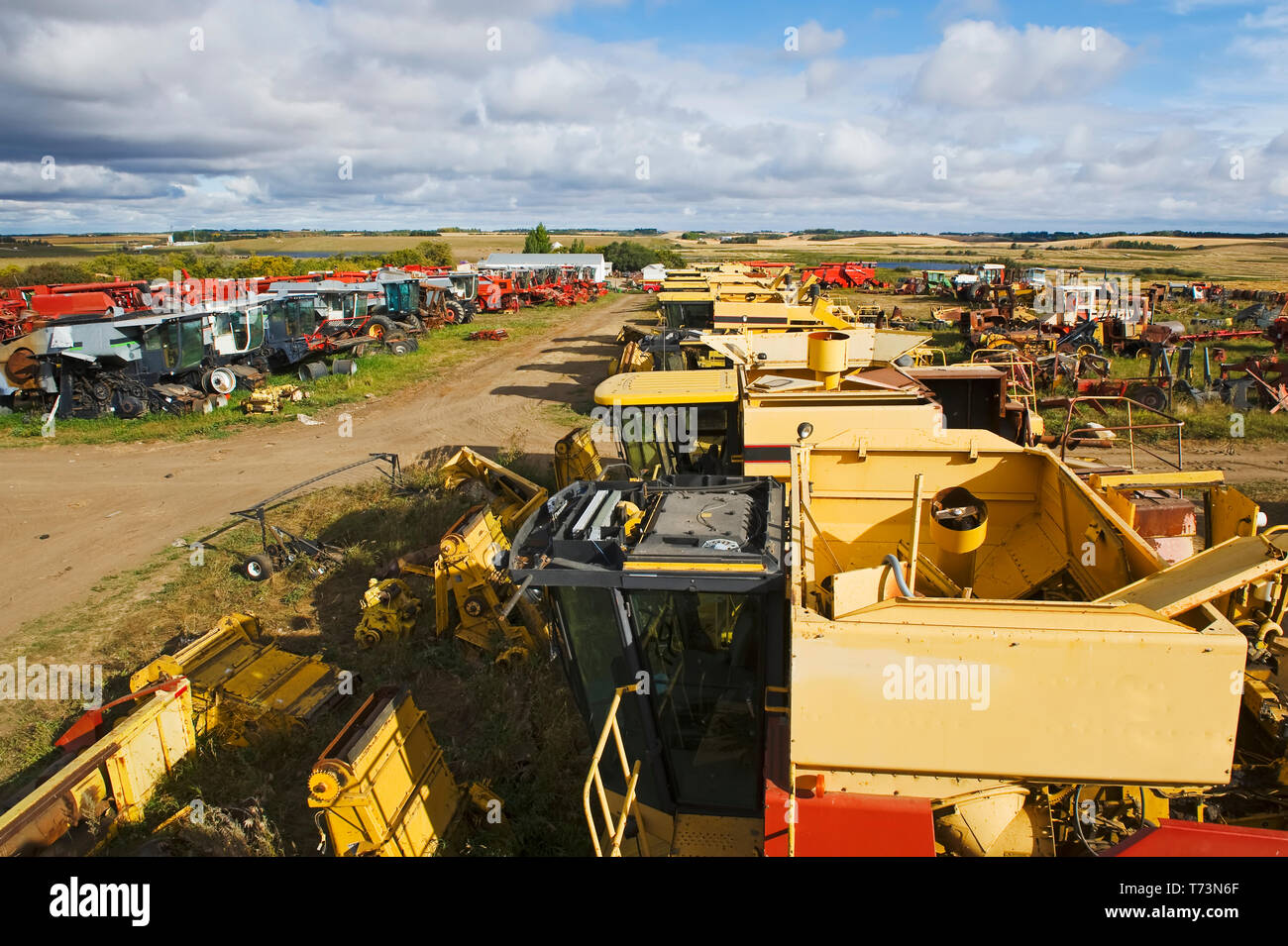 Old combines for used parts near Cudmore; Saskatchewan, Canada Stock Photo