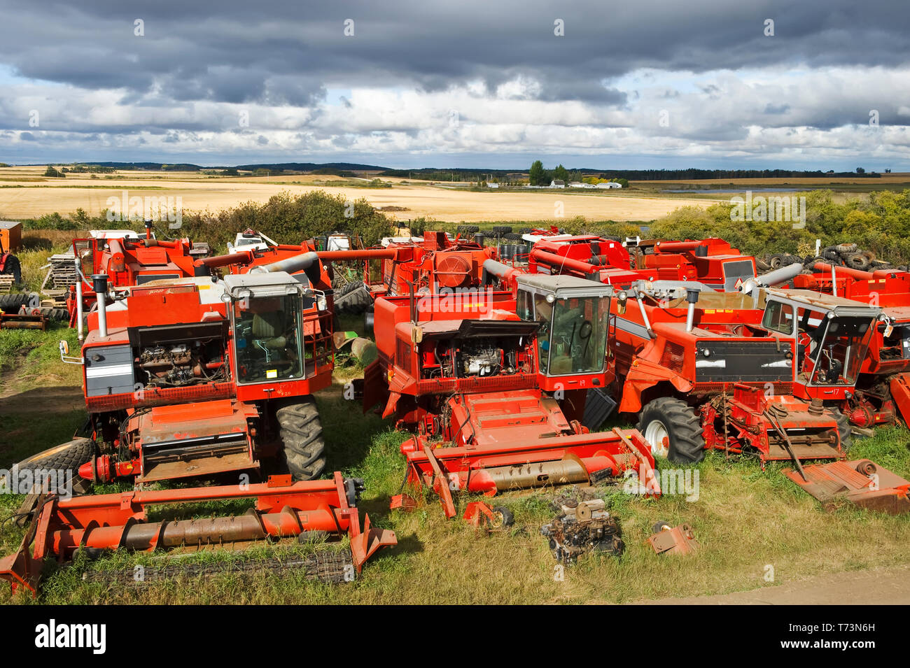 Old combines for used parts near Cudmore; Saskatchewan, Canada Stock Photo