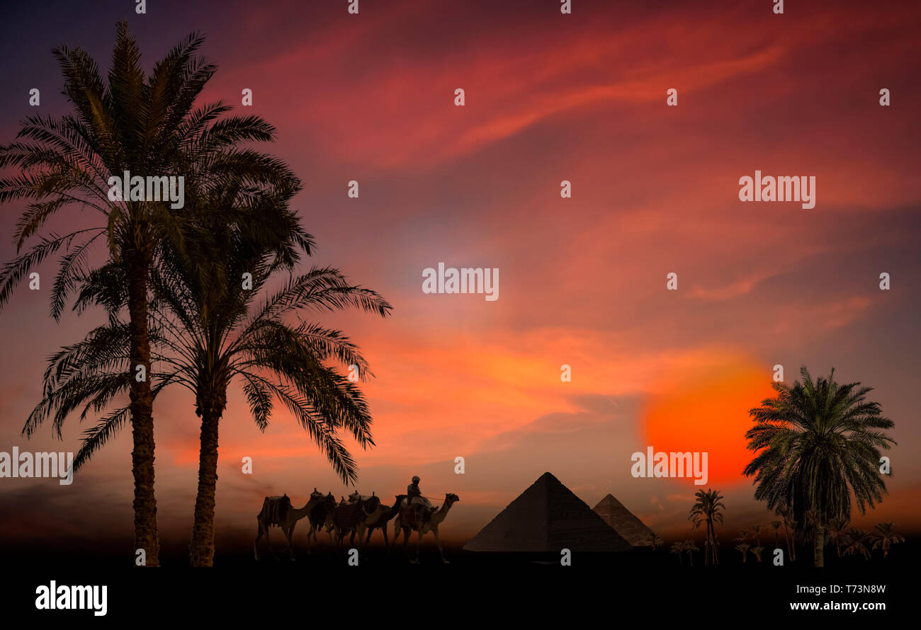 Composite image of silhouetted pyramids, palm trees and a soldier with camels at sunset Stock Photo