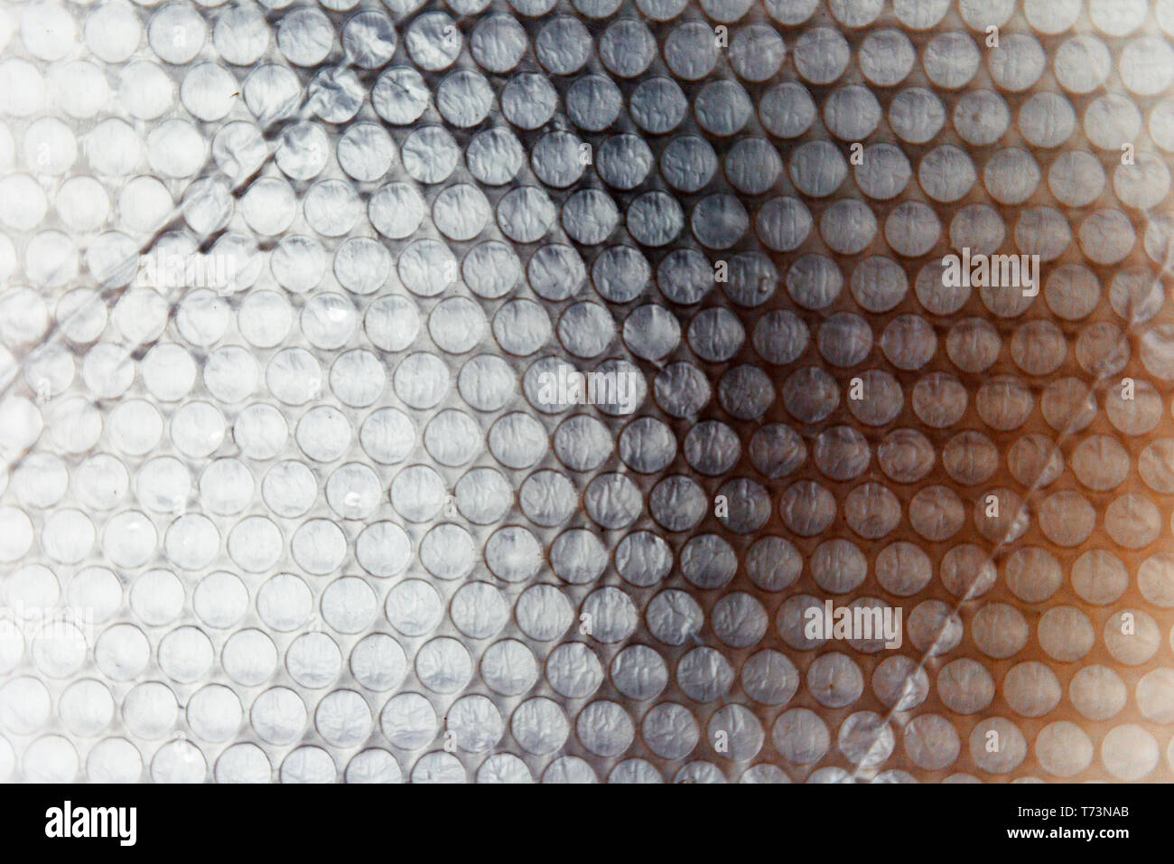 Bubble Wrap Background Wallpaper Stock Image  Image of light packaging  74439877