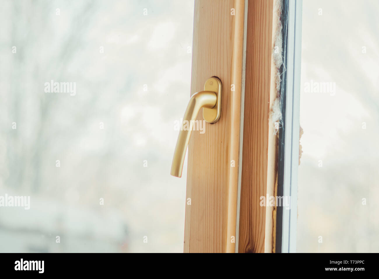 Window Handle Opening On Wooden Window Greens Outside The Window
