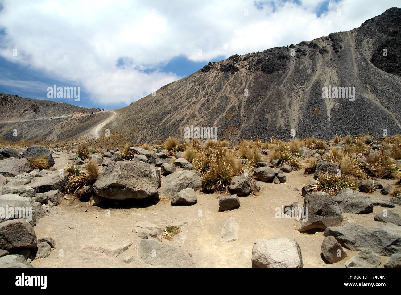 Nevado de Toluca national park. Stratovolcano in central Mexico. Xinantecatl. Pleistocene stratovolcanoe. Stock Photo