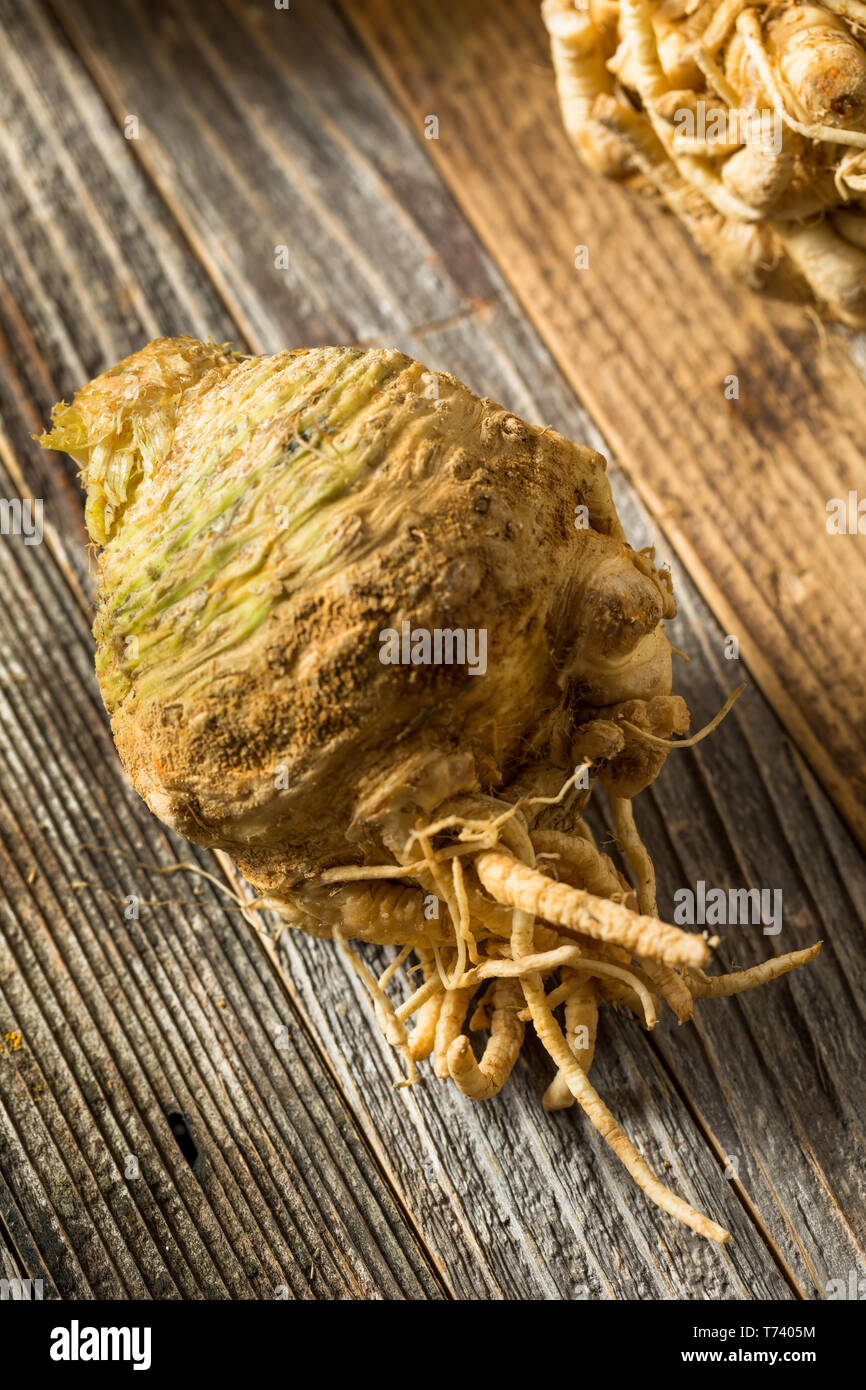 Raw Organic Brown Celery Root Ready to Cook Stock Photo