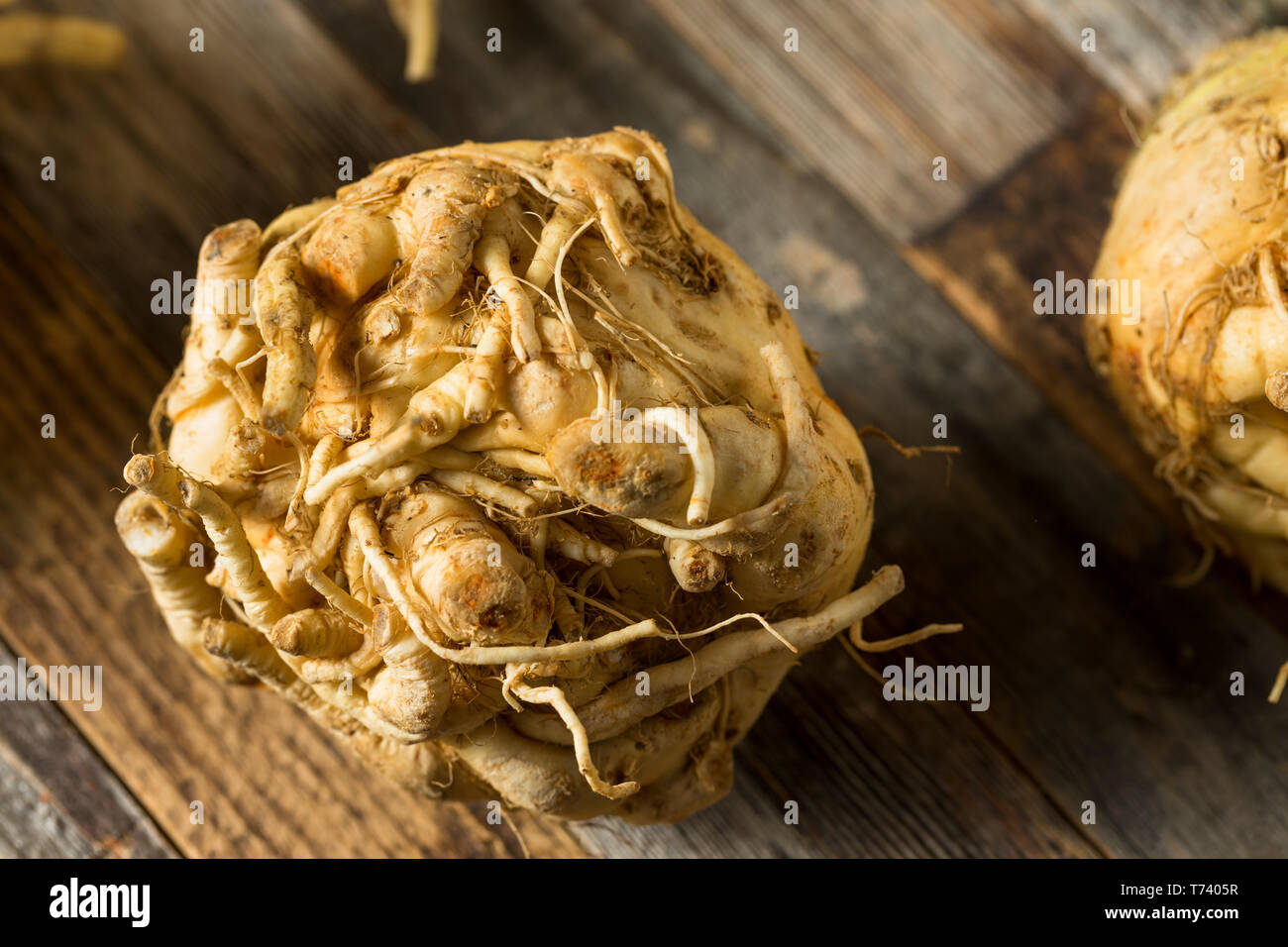 Raw Organic Brown Celery Root Ready to Cook Stock Photo