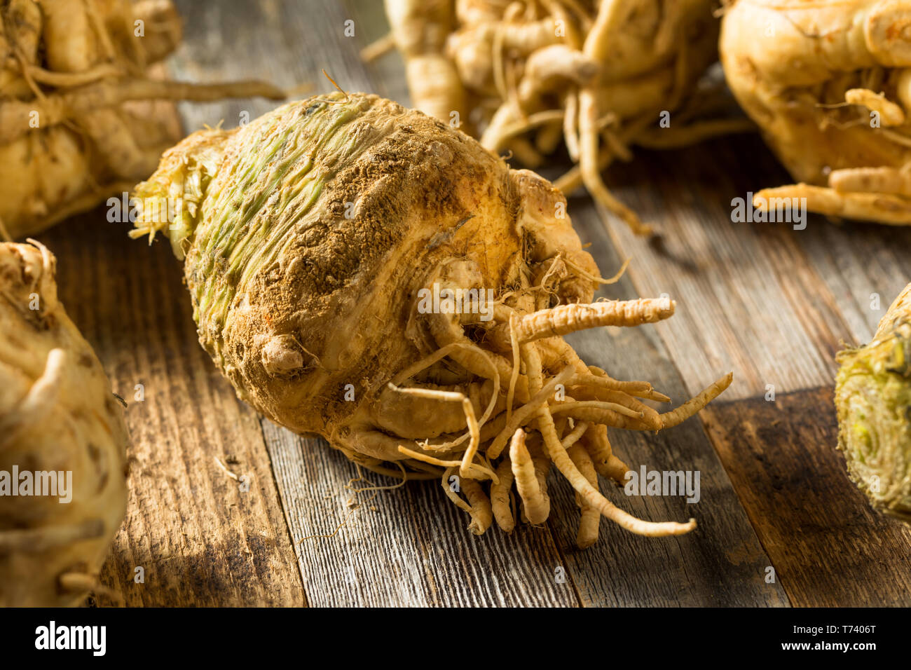 Celery bulb hires stock photography and images Alamy