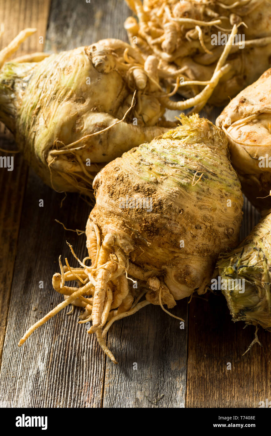Celery bulb hires stock photography and images Alamy