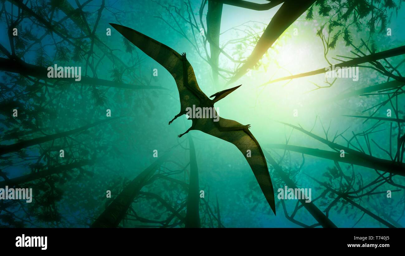 Size reference chart of various pterosaurs from around the world