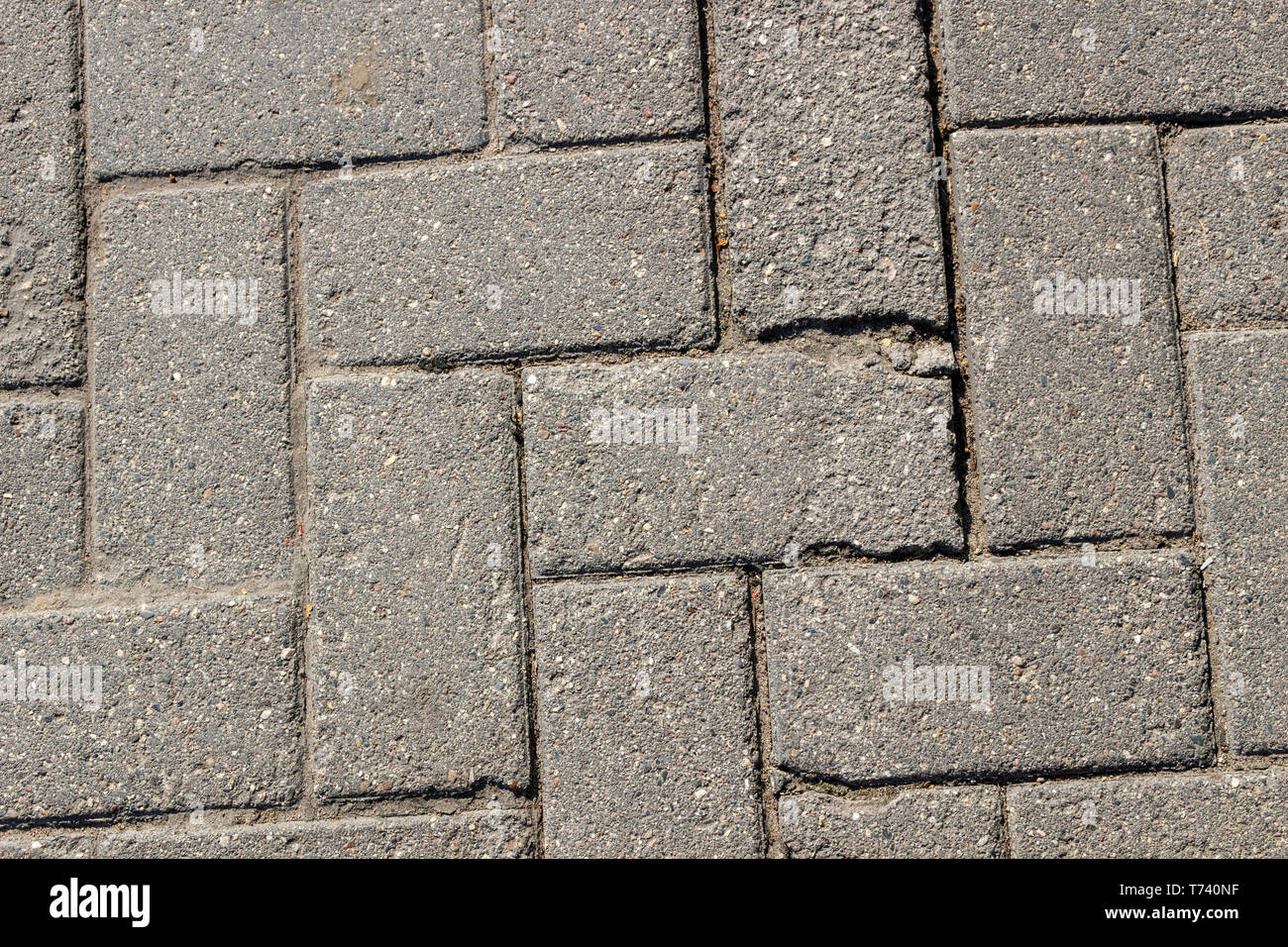 Abstract gray paving slab texture background. Close-up Stock Photo