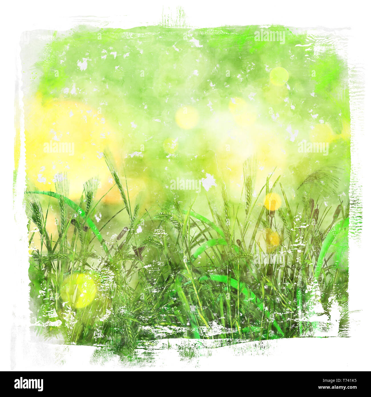 Watercolour style painted background of green grass image Stock Photo Alamy