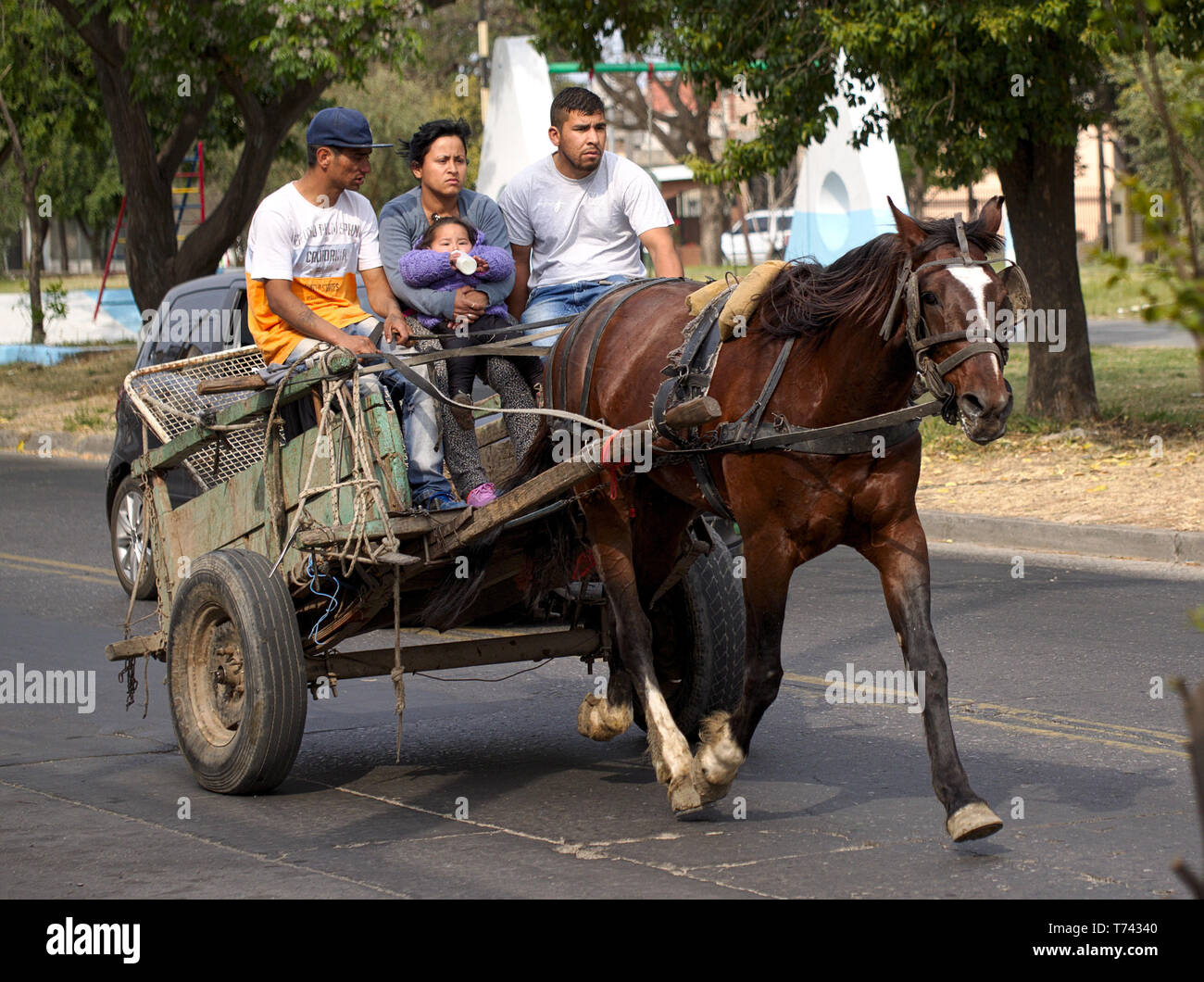 Man cart horse south america hi-res stock photography and images - Alamy