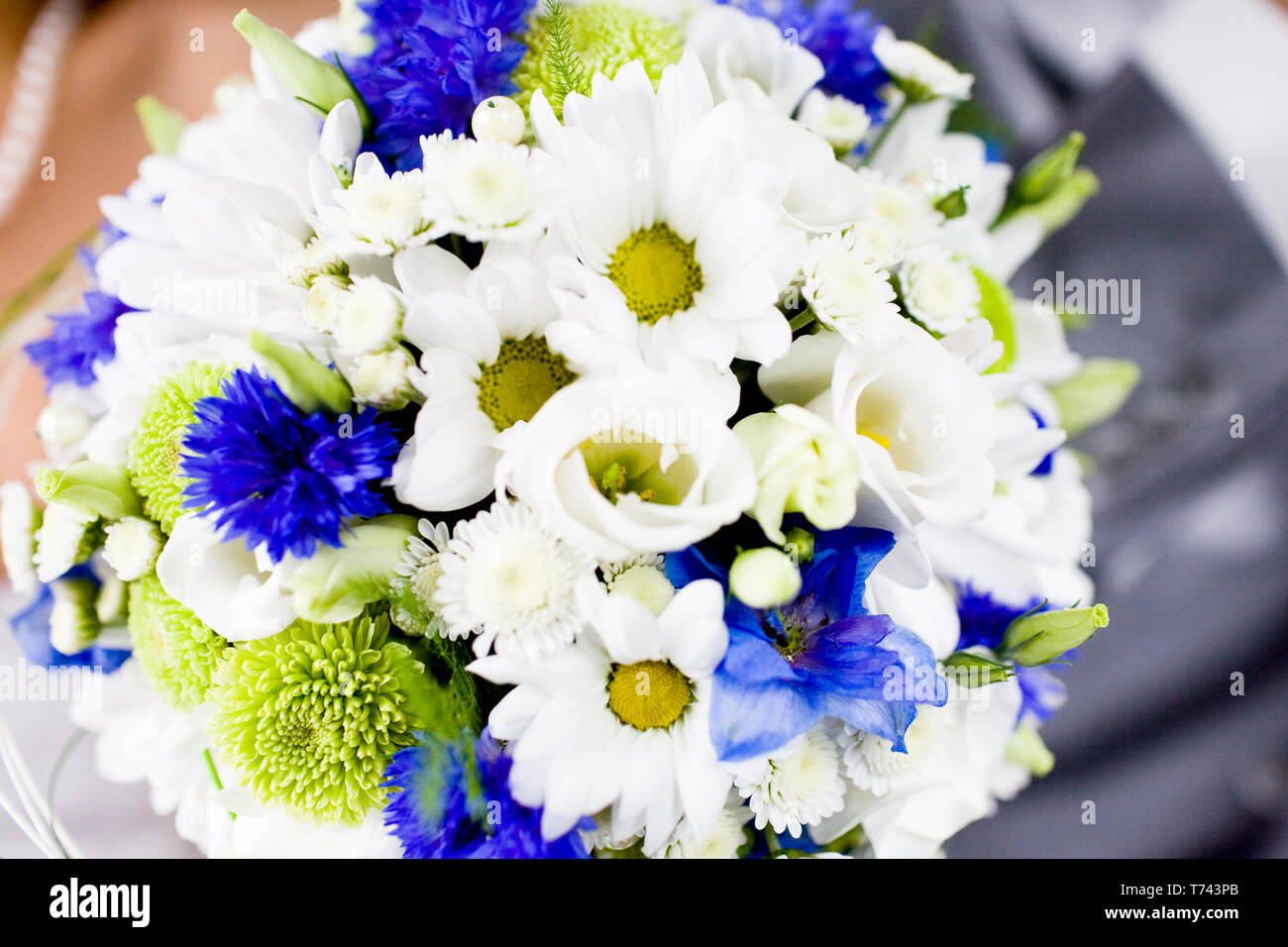 Romantic bouquet of cornflowers with chrysanthemums and freesia in  blue-white flowers Stock Photo - Alamy