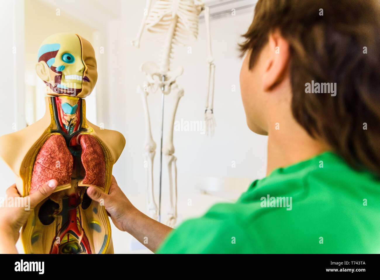 Students in anatomy and human biology class with an artificial model of