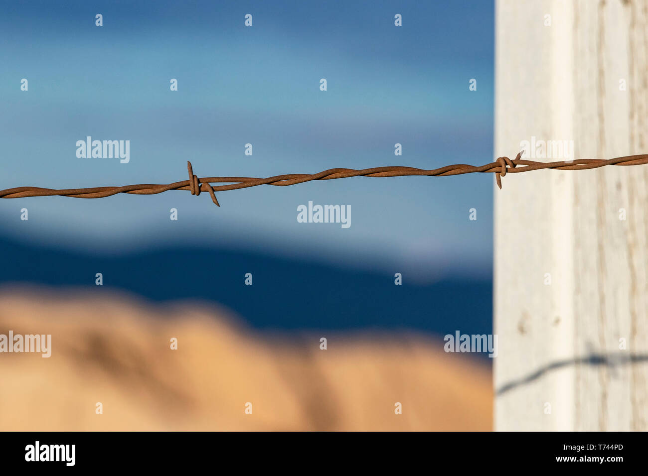 Close up view of rusty barbed wire fence against western backdrop Stock Photo