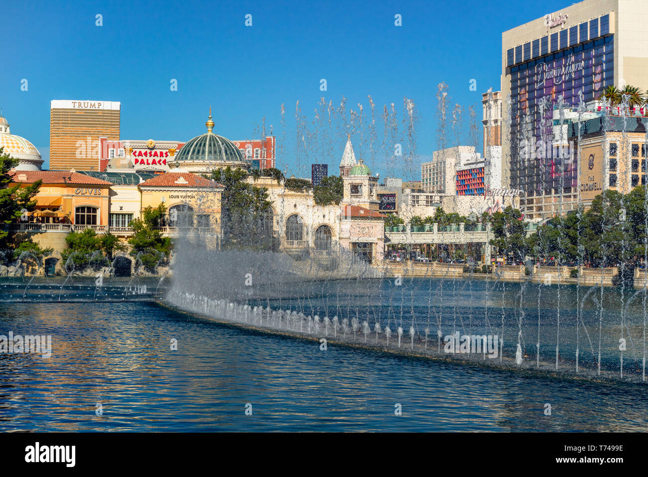 Trump International Hotel, and Flamingo Hotel and Casino, View from Bellagio Fountain, Las Vegas, Nevada, USA, November 19, 2016 Stock Photo