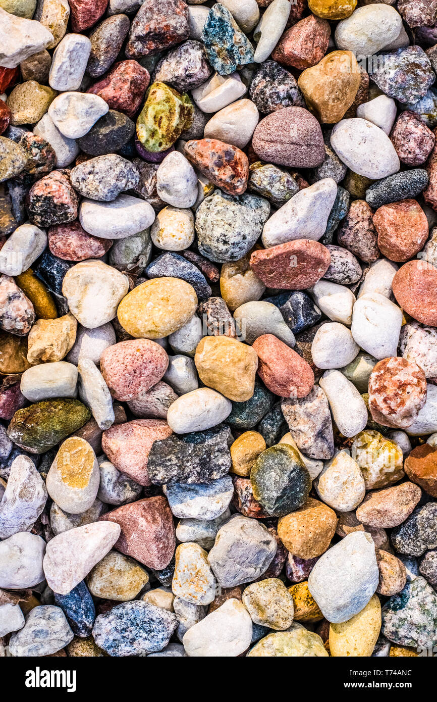 Landscape architecture, interior design and nature elements concept