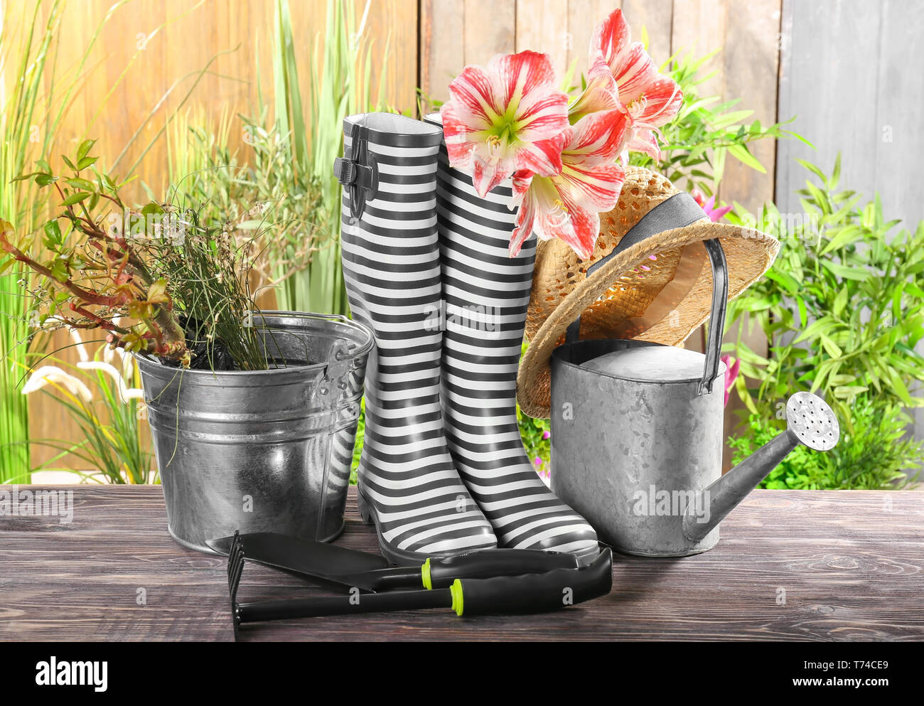 gardening-equipment-with-gumboots-on-wooden-table-stock-photo-alamy