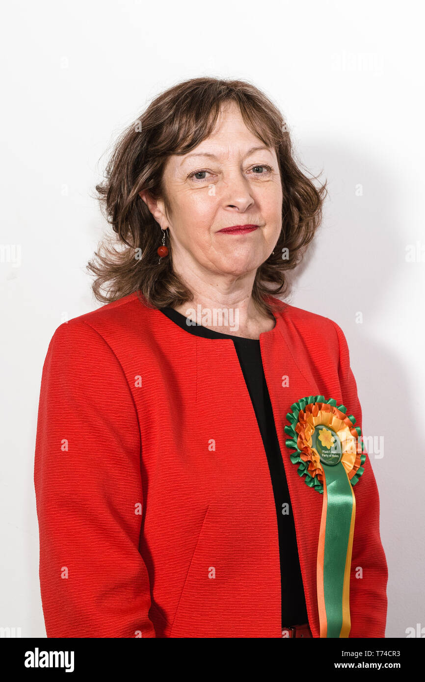 Jill Evans MEP - Plaid Cymru Member of the European Parliament for Wales Stock Photo