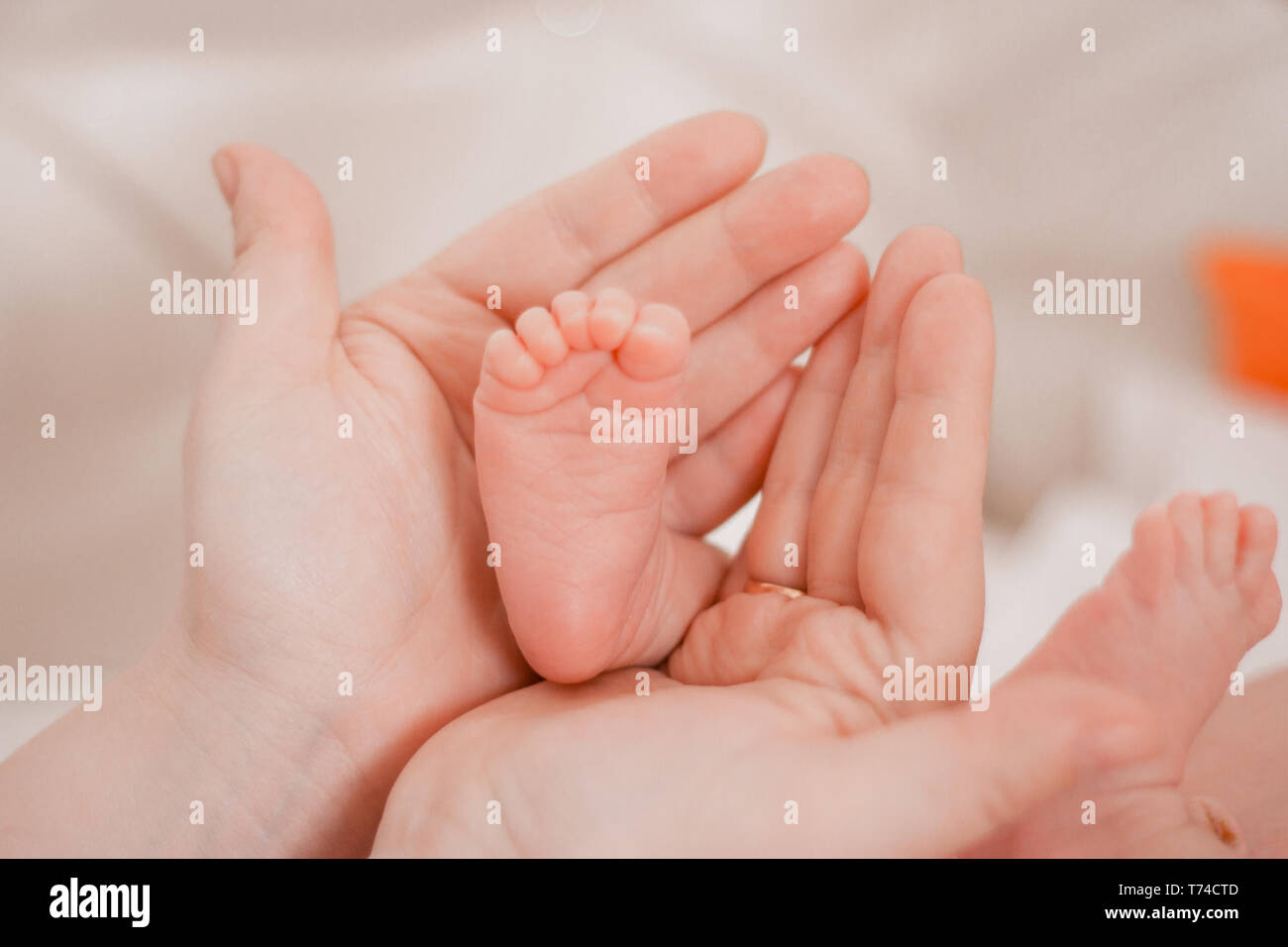 Pregnancy, maternity, preparation and expectation motherhood, giving