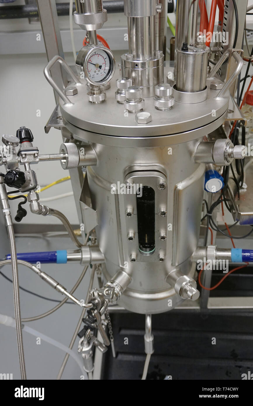 Closeup of a stainless steel bioreactor used to grow bacteria Stock