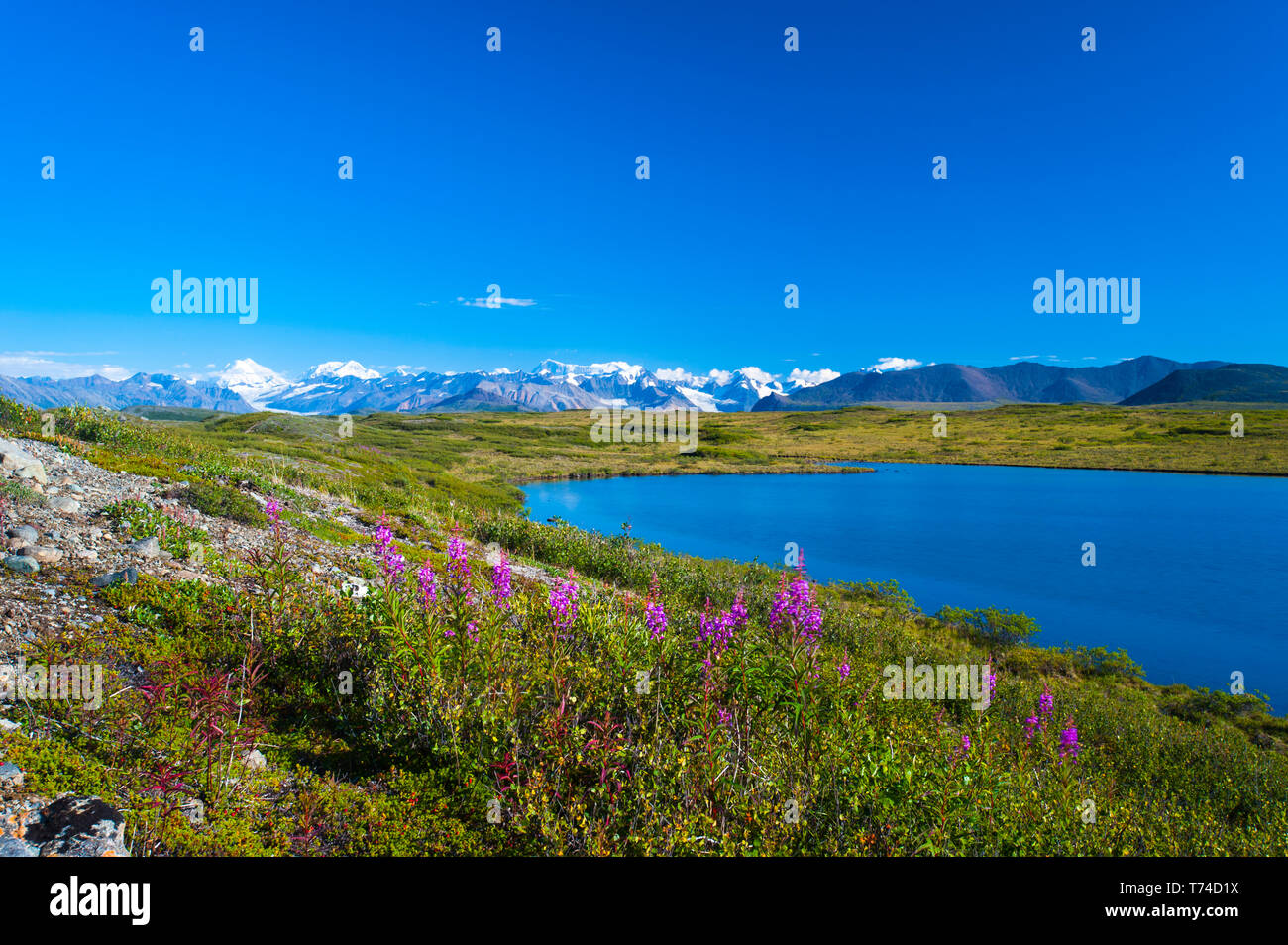 The Alaska Range as seen from the McLaren Ridge Trail off the Alaska Highway on a sunny, summer day in South-central Alaska Stock Photo
