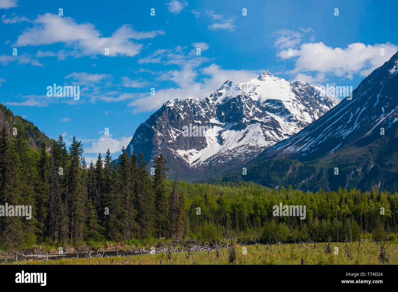 A Landscape Of A Mountain Valley In Eagle River On A Warm Summer Afternoon In South Central Alaska Alaska United States Of America Stock Photo Alamy