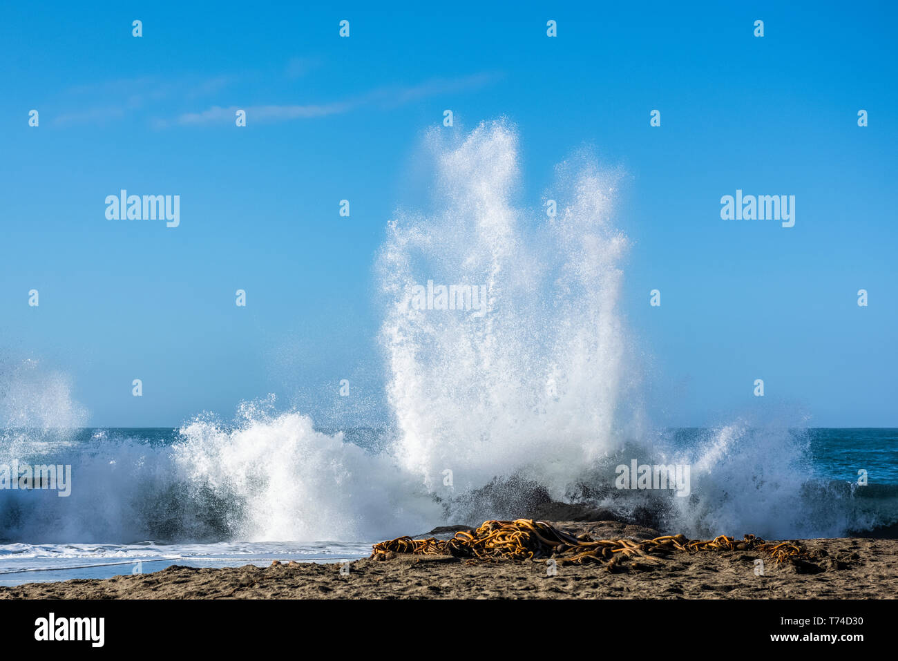 A crashing wave on the shore of Harris Beach, near Brookings; Oregon, United States of America Stock Photo