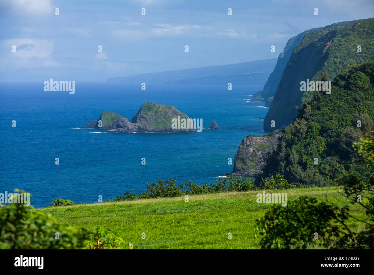Blue ocean near hawaiian island hi-res stock photography and images - Alamy