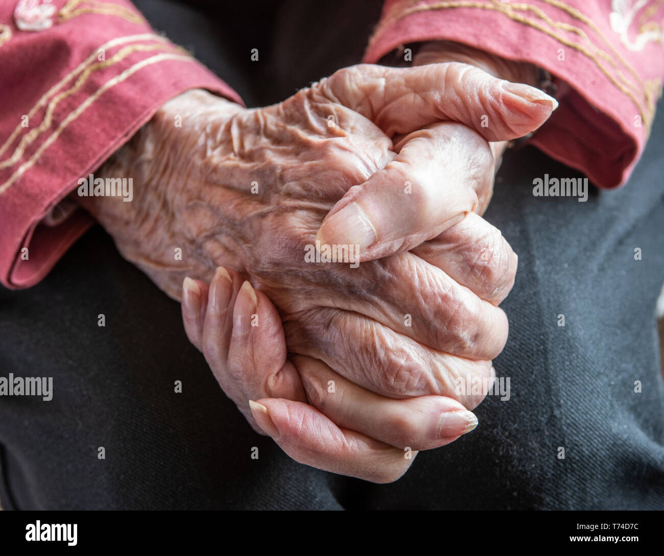 Senior woman's hands clasped in thoughtful repose; Olympia, Washington, United States of America Stock Photo