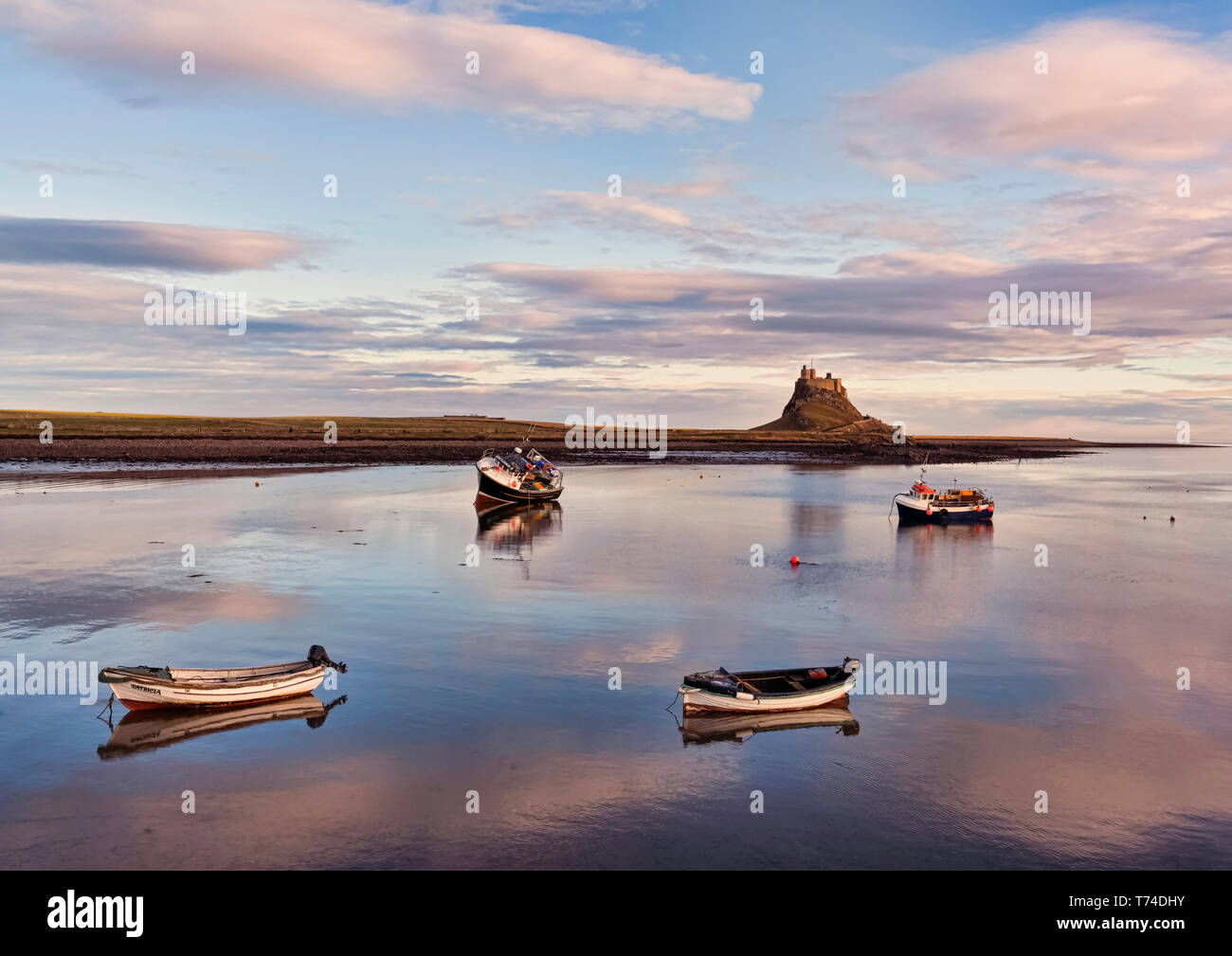 Four fishing boats moored in the harbour with the tide in, Lindisfarne Castle in the background on Holy Island; Lindisfarne, Northumberland, England Stock Photo