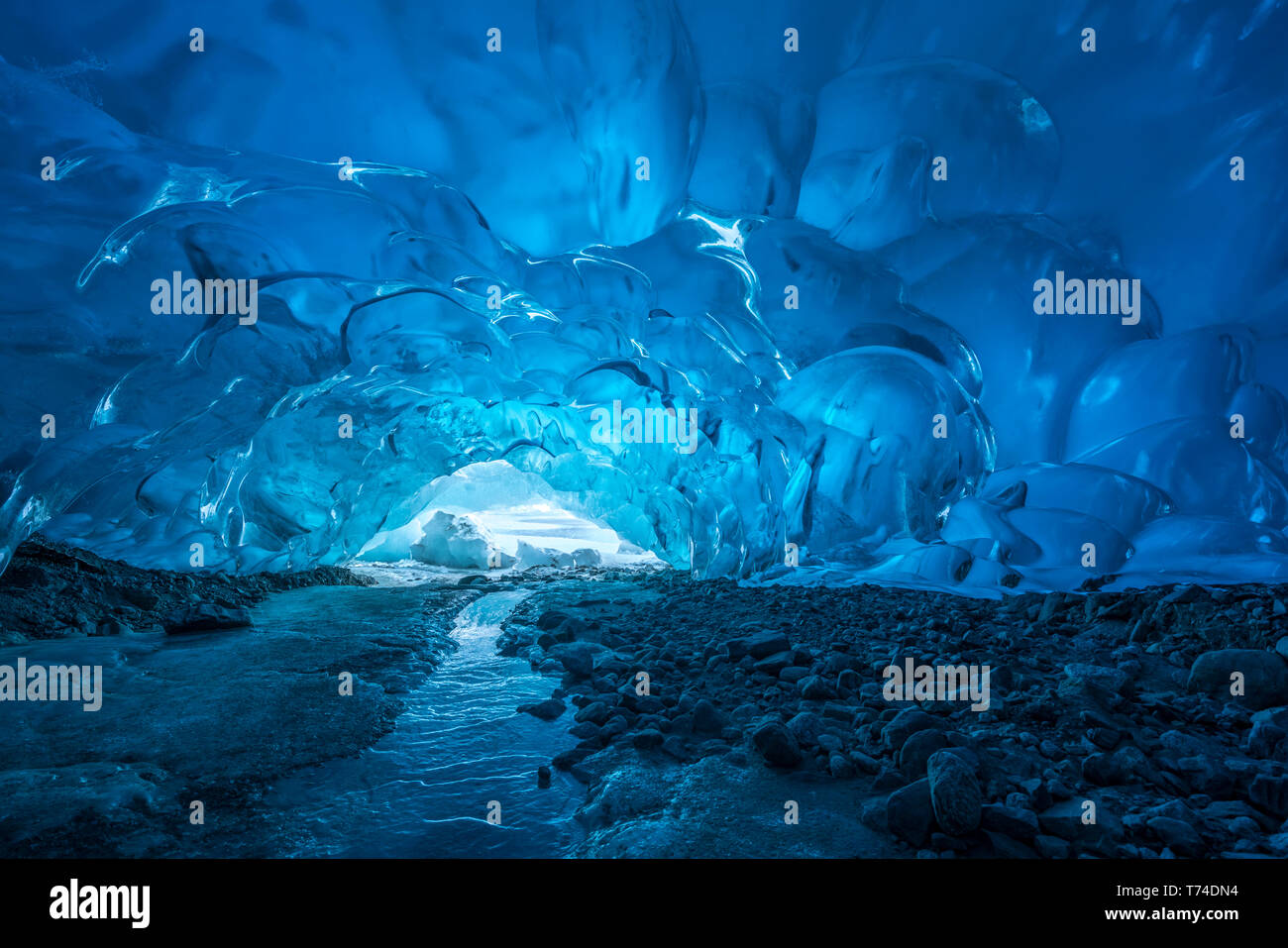 Blue glacial ice is exposed inside an ice cave at the terminus of Mendenhall Glacier, Mendenhall Lake, Tongass National Forest Stock Photo