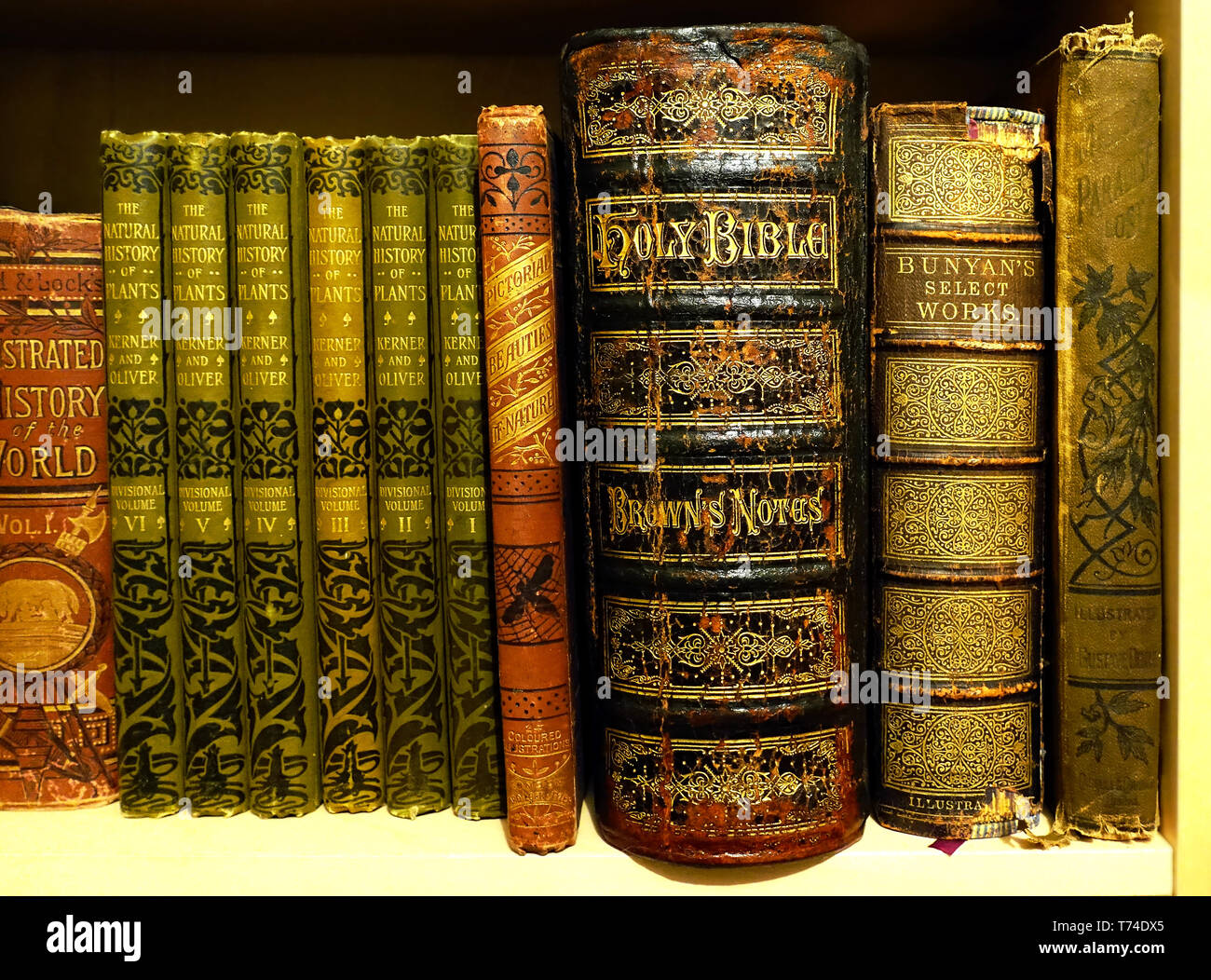 Old leather and cloth bound books on a shelf Stock Photo