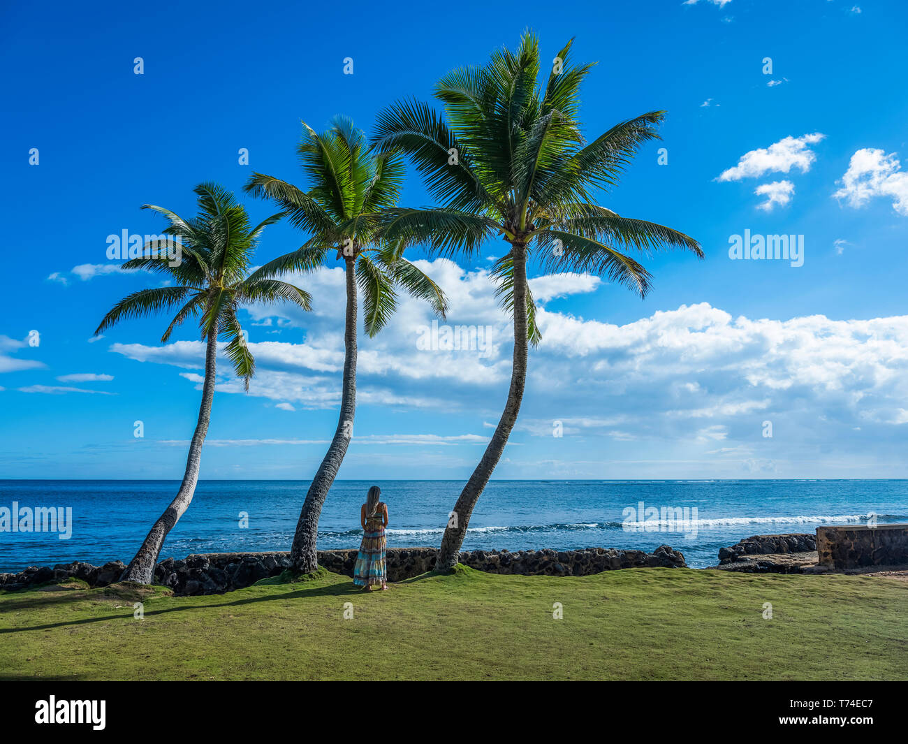 Woman standing under palm trees along the shoreline; Oahu, Hawaii, United States of America Stock Photo