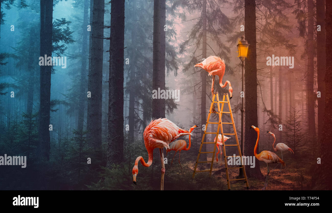 A surreal composite image of flamingoes in a forest with a ladder and lamp post Stock Photo