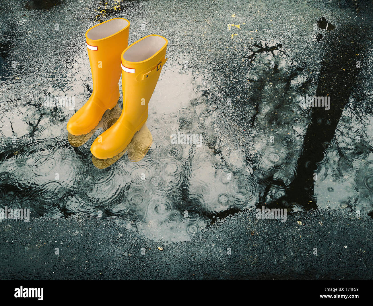 Yellow rubber boots in a rain puddle 