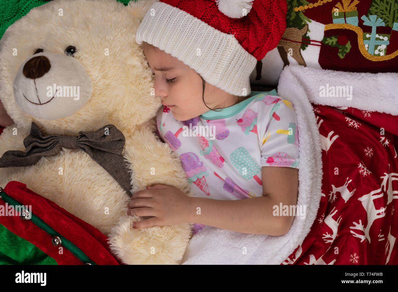 large christmas teddy