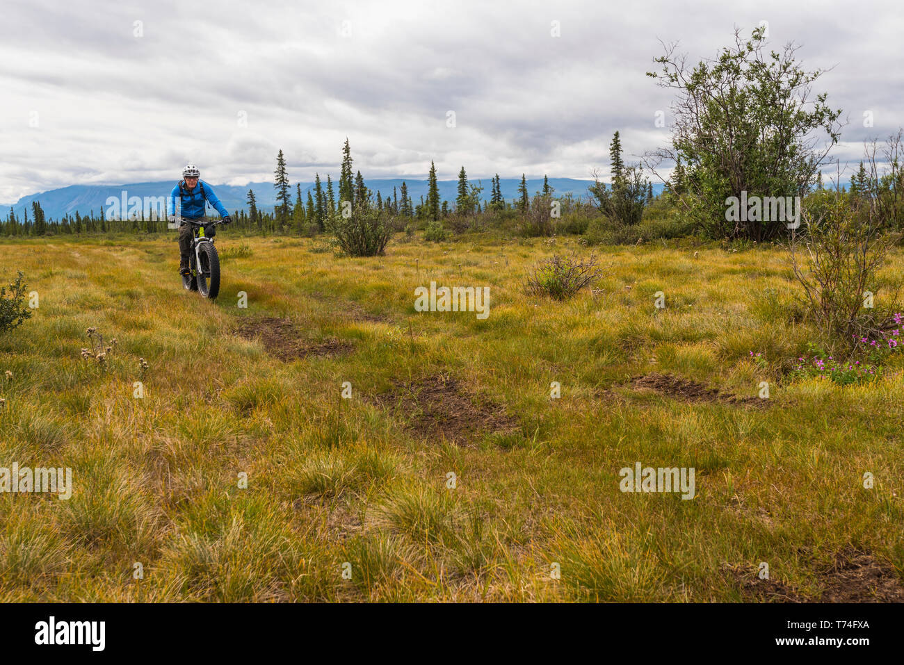 A man fat biking on a hunting trail in Wrangell-St. Elias National Park and Preserve on a cloudy summer day in South-central Alaska Stock Photo