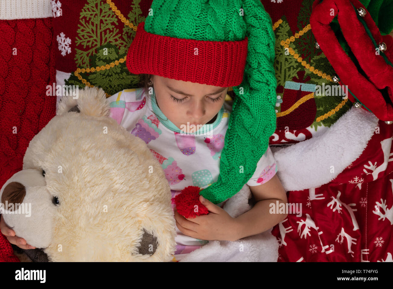 large christmas teddy