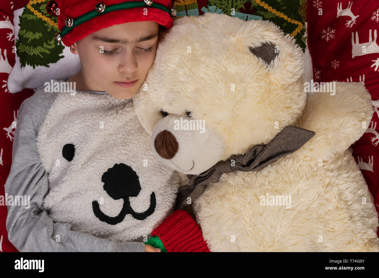 large christmas teddy