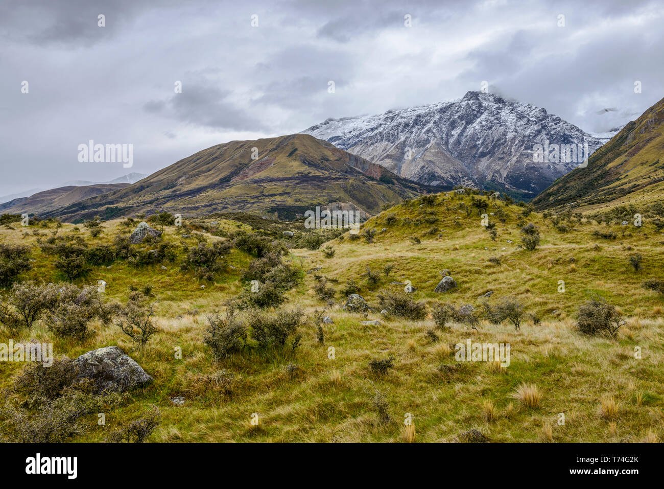 Snowy mountains viewed from Mount Cook Road; South Island, New Zealand Stock Photo
