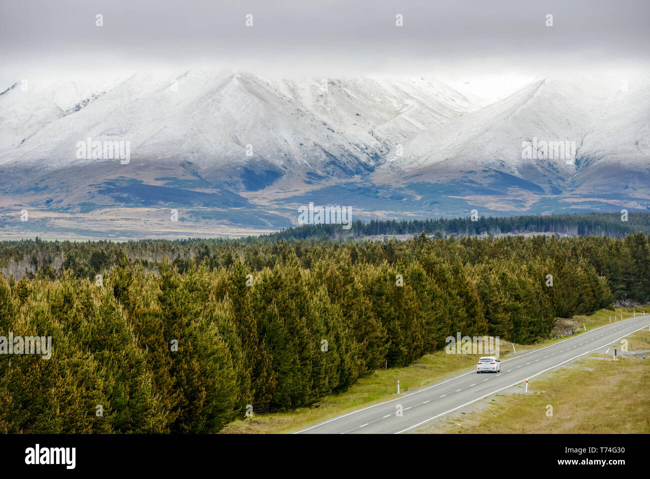 Mount Cook Road and Dobson Valley at spring; South Island, New Zealand Stock Photo