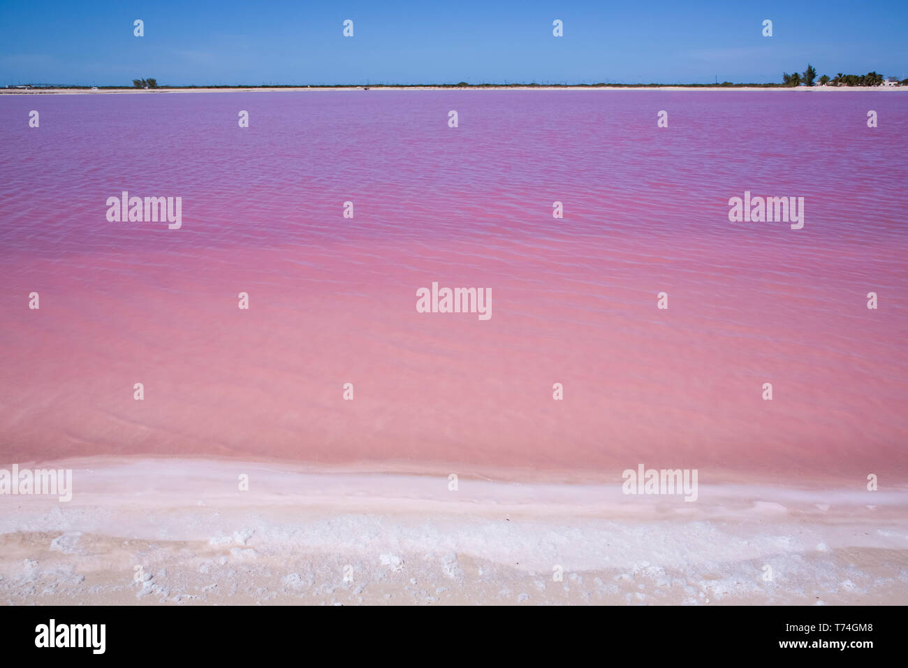 Pink Lake, Las Coloradas, Yucatan, Mexico Stock Photo