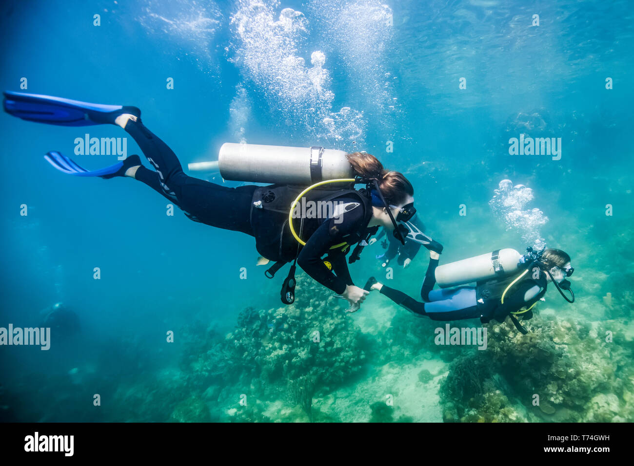 Scuba divers in Roatan Marine Park, Blue Channel dive site; Roatan, Honduras Stock Photo